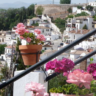 Espagne andalousie belle fleurs