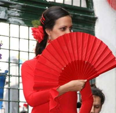 Espagne Andalousie Flamenco V