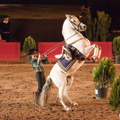 Espagne andalousie sepctacle equestre cordoue cadiz